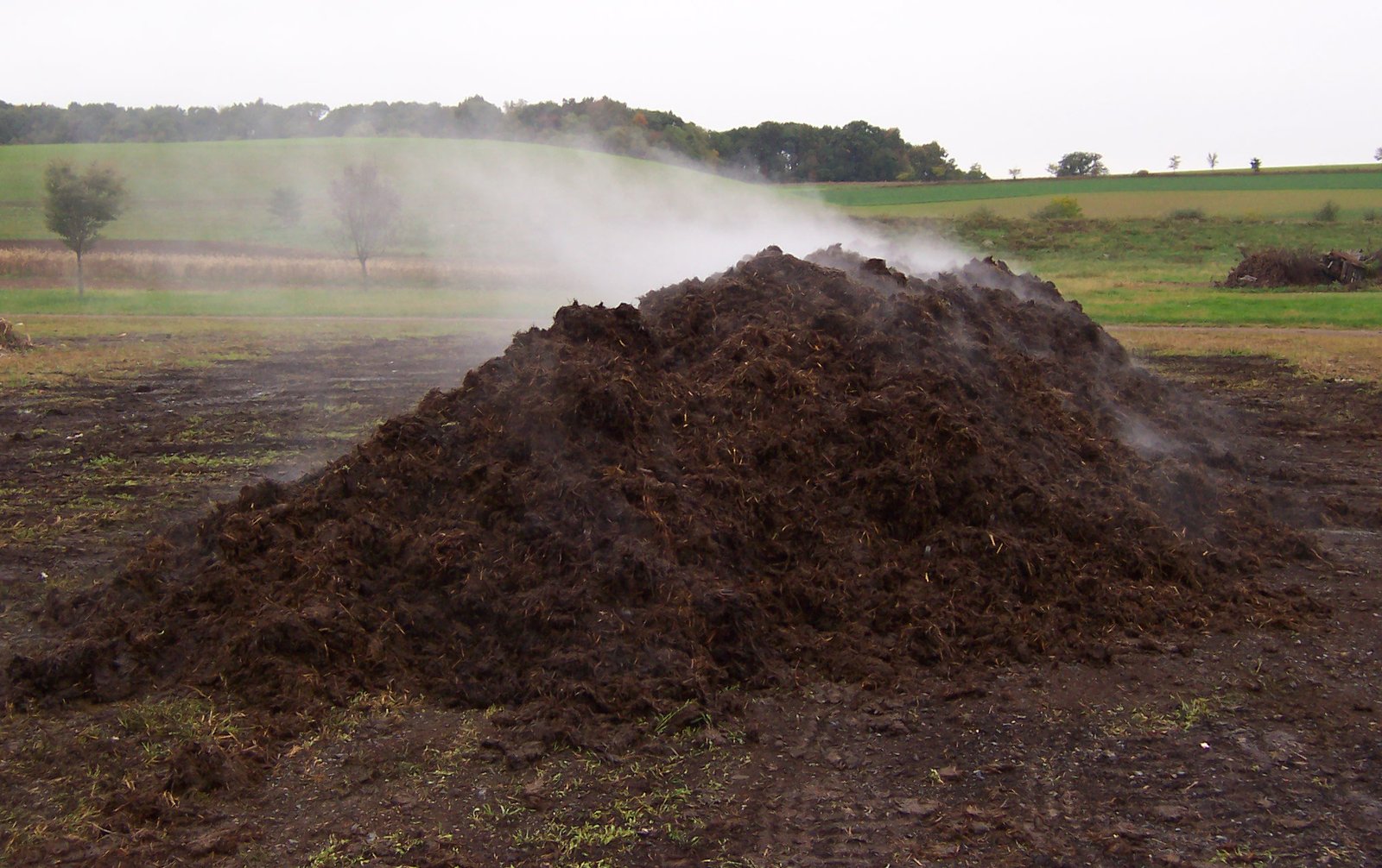 Compost